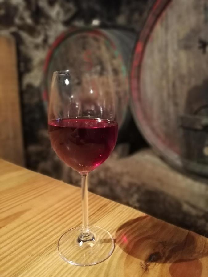 Ansitz Grustdorf Leilighet Appiano Sulla Strada Del Vino Eksteriør bilde