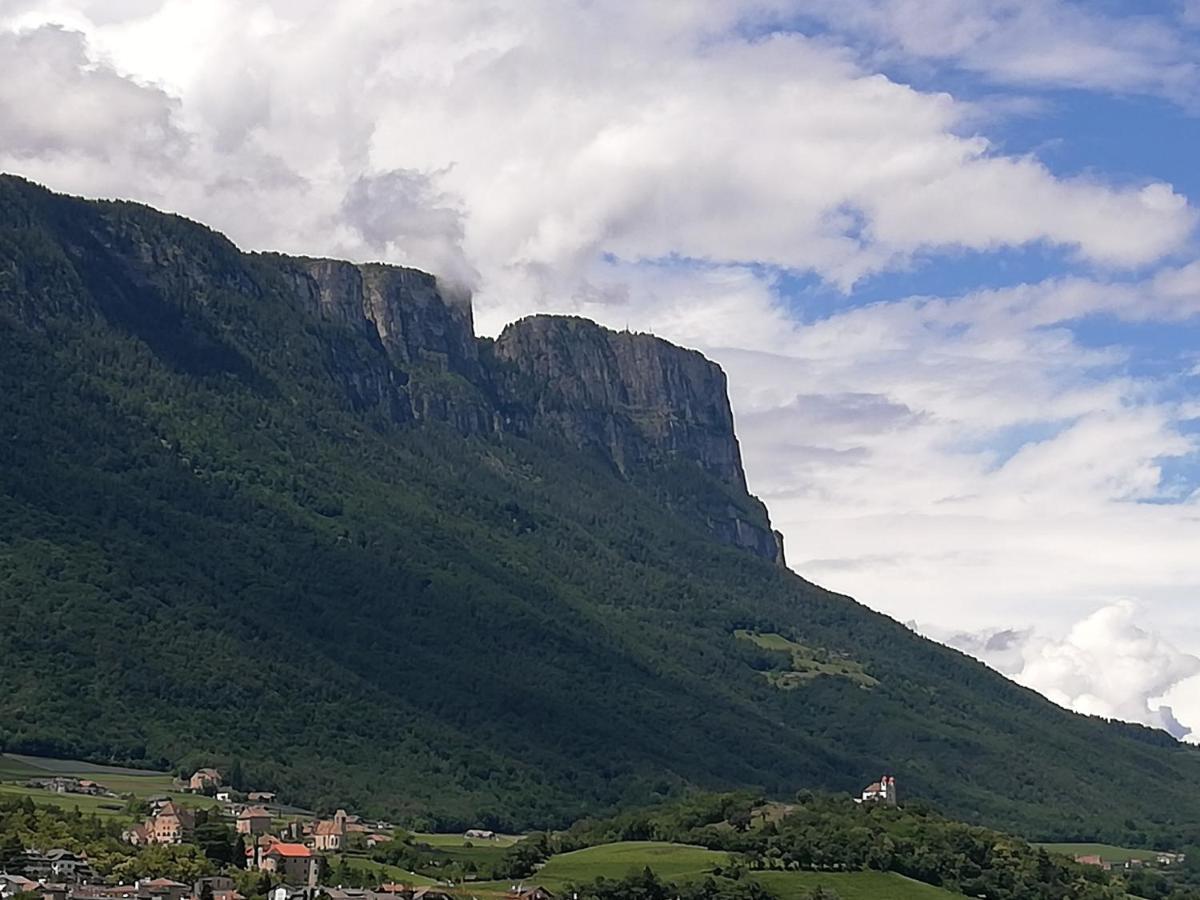 Ansitz Grustdorf Leilighet Appiano Sulla Strada Del Vino Eksteriør bilde