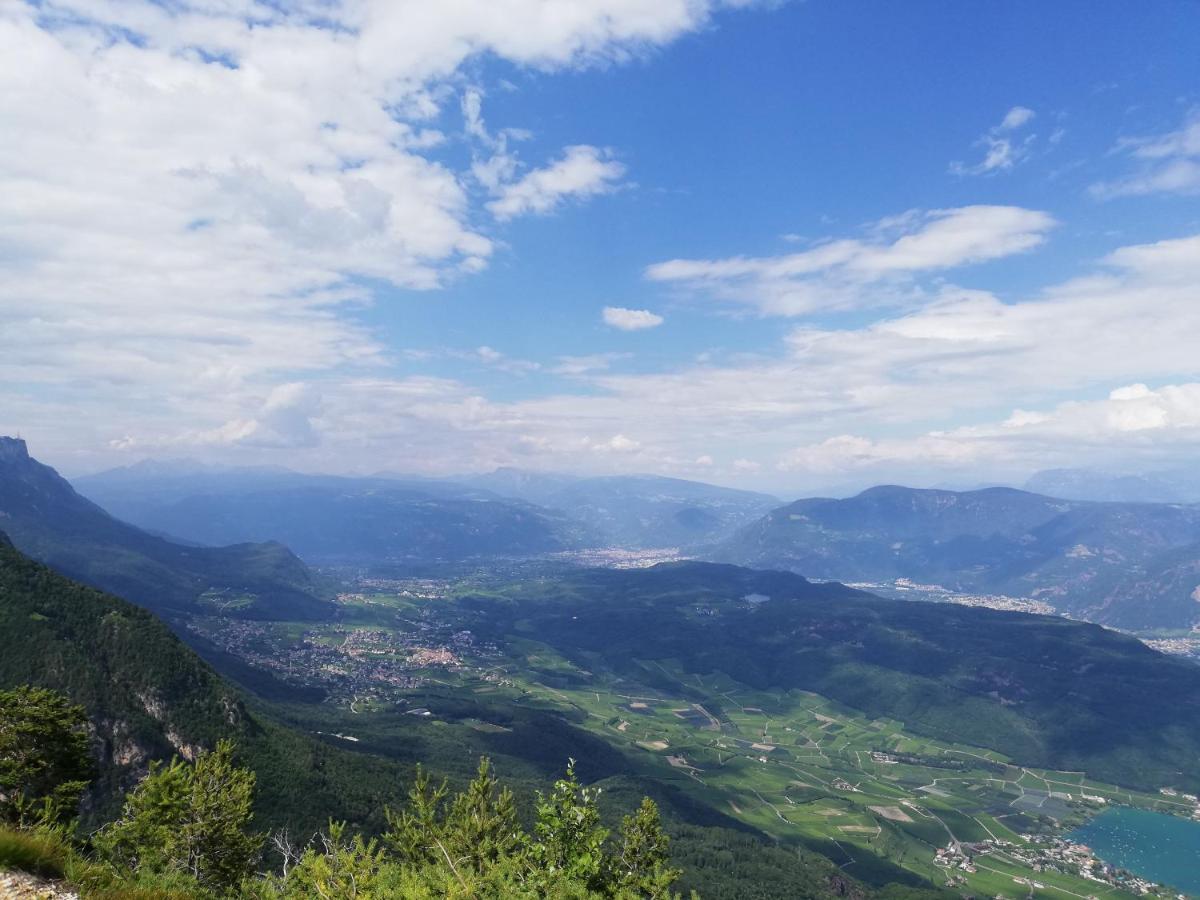 Ansitz Grustdorf Leilighet Appiano Sulla Strada Del Vino Eksteriør bilde